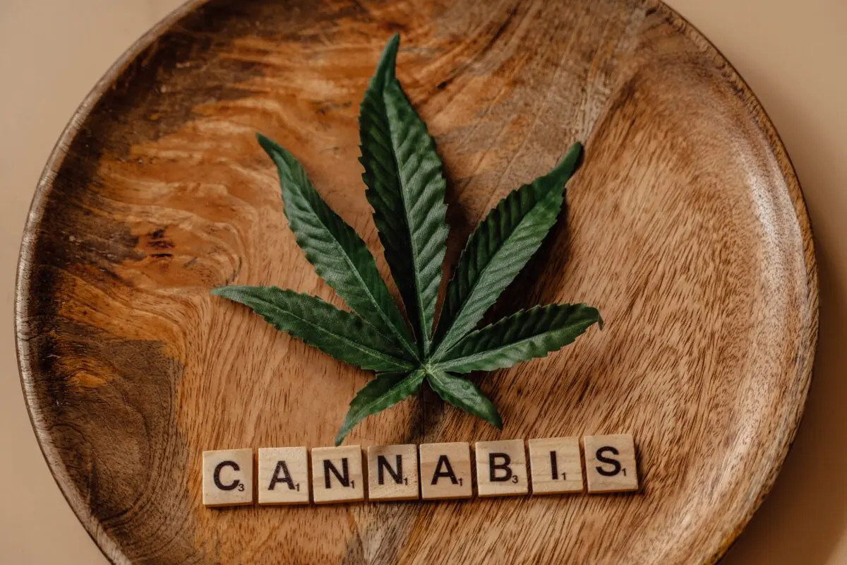 Cannabis-Rezepte